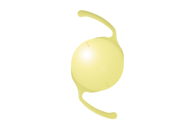 KOWA アバンシィ トーリック